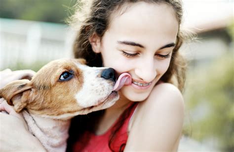 Humane society of tampa bay adoption - The Humane Society of Tampa Bay has made great progress with adoption rates, return to shelter rates, and expansion of safety net programs. Our most recent accomplishment is a new shelter, which increased the number of animals save by more than 30%.